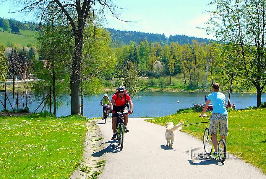 Översikt över de mest attraktiva vårrabatterna för fritid i Lipno med omnejd