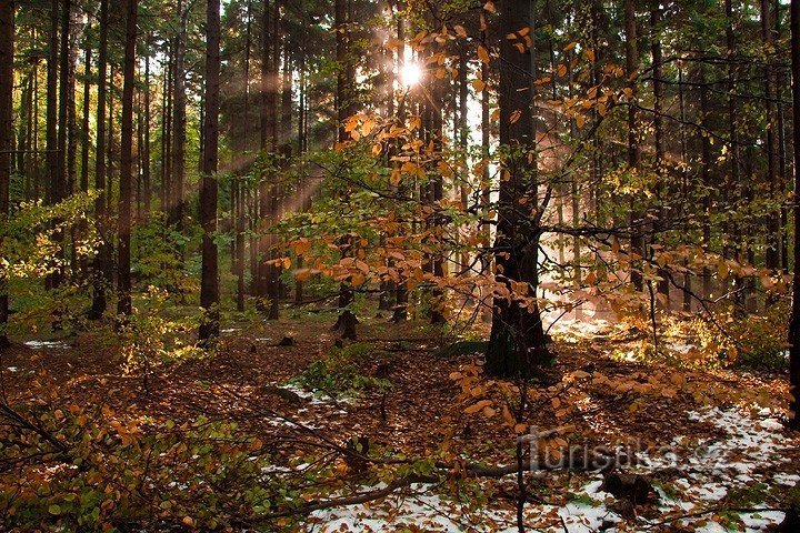 Die Zeit ist auf Winter umgestellt und die Morgensonne steht tief