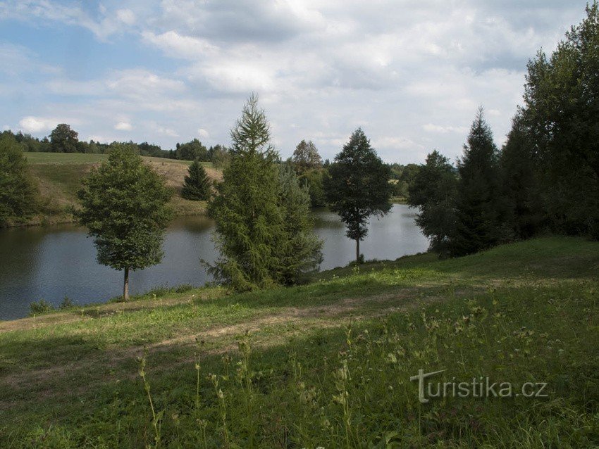 Maletín Dam