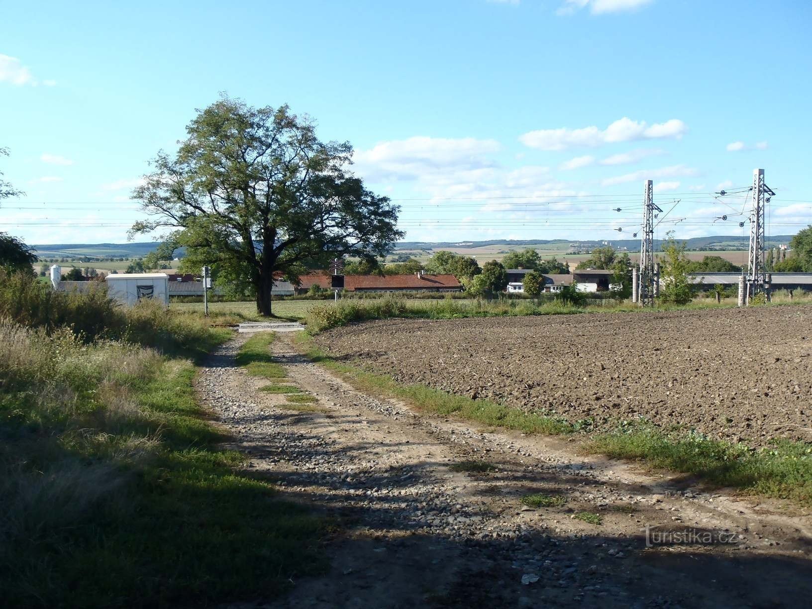 Attraversamento vicino a Blažovice con un vecchio albero di acacia - 28.8.2011