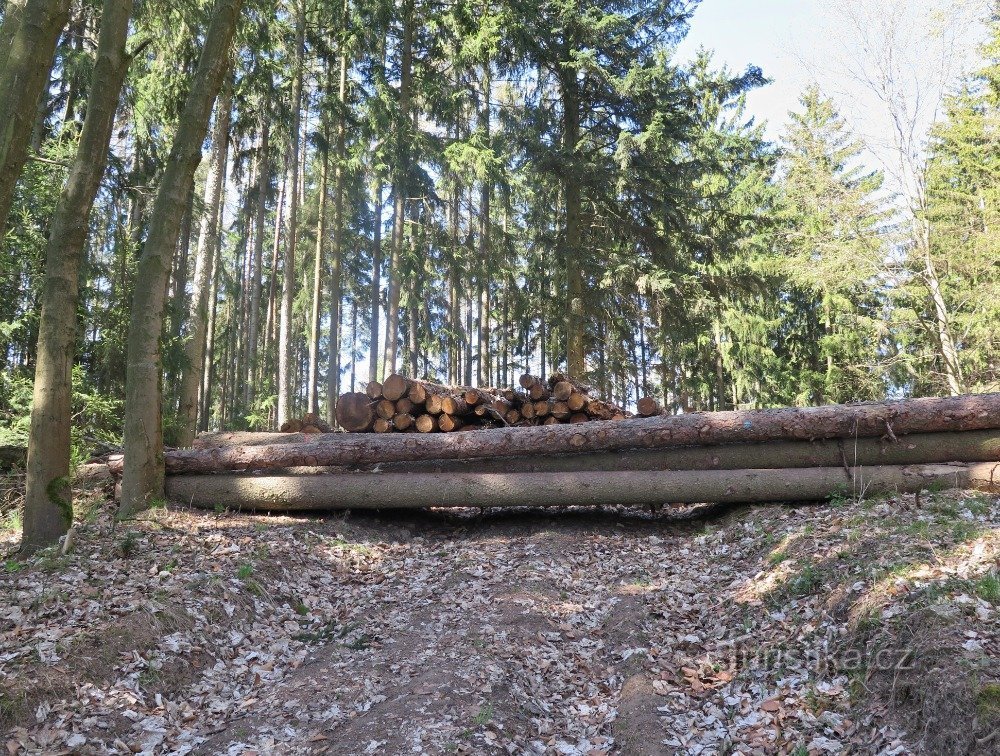 pista de obstáculos em Bivole