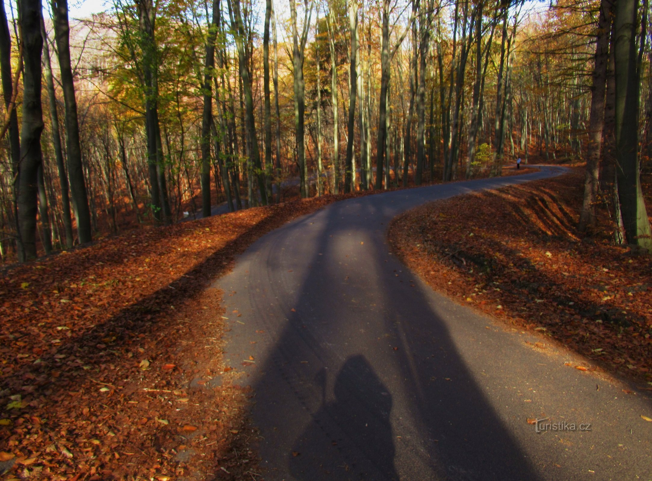 A surprise in the middle of the forest - in the footsteps of French Gothic to Cimburk Castle