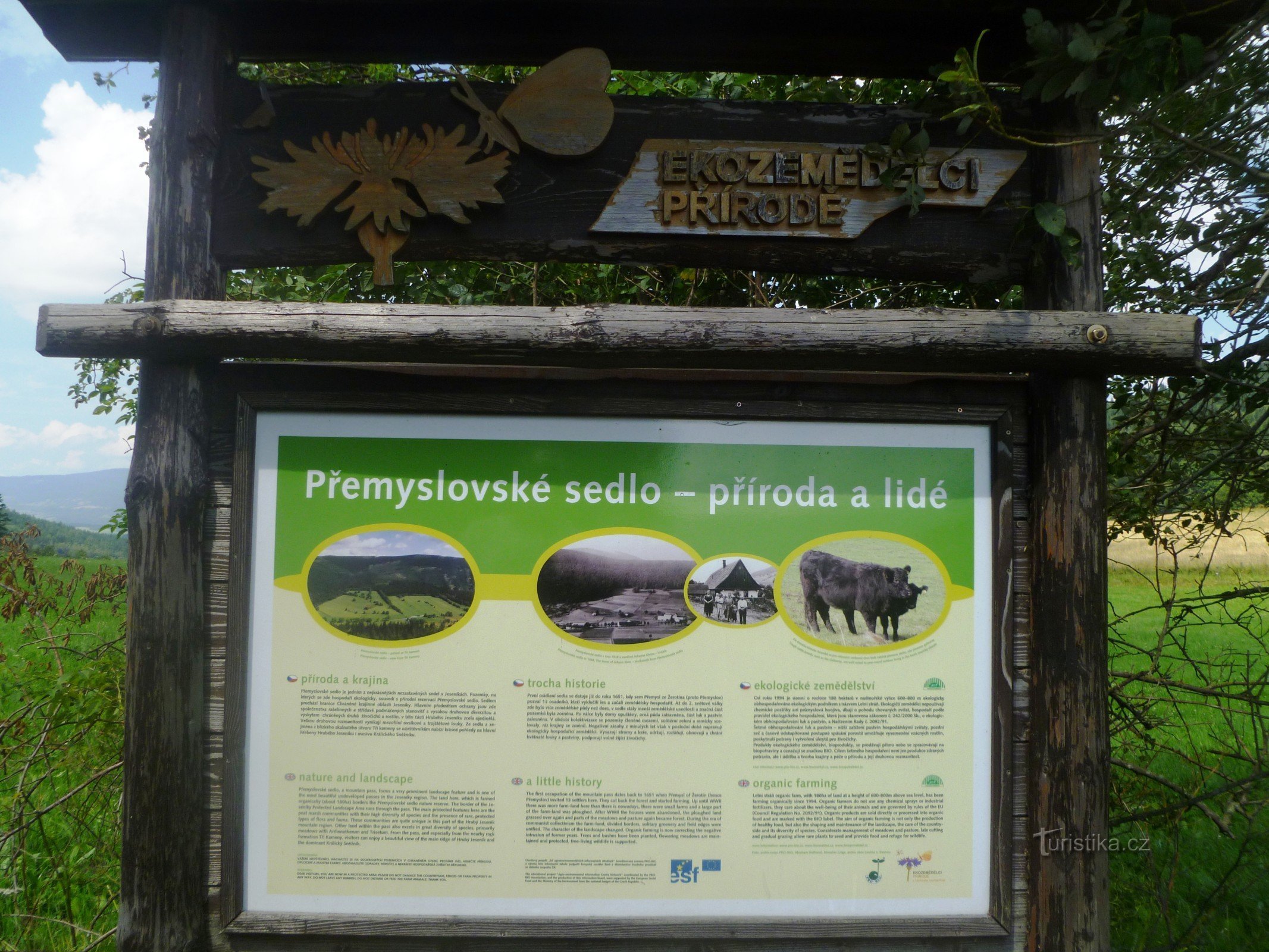 Přemyslovské satula 1