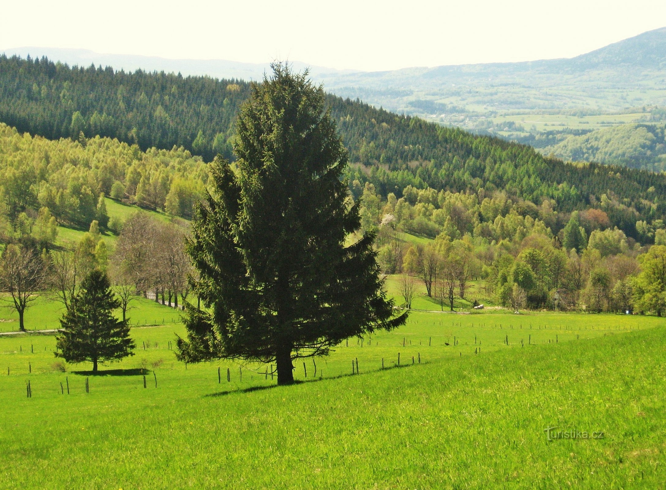 Пршемисловське сідло