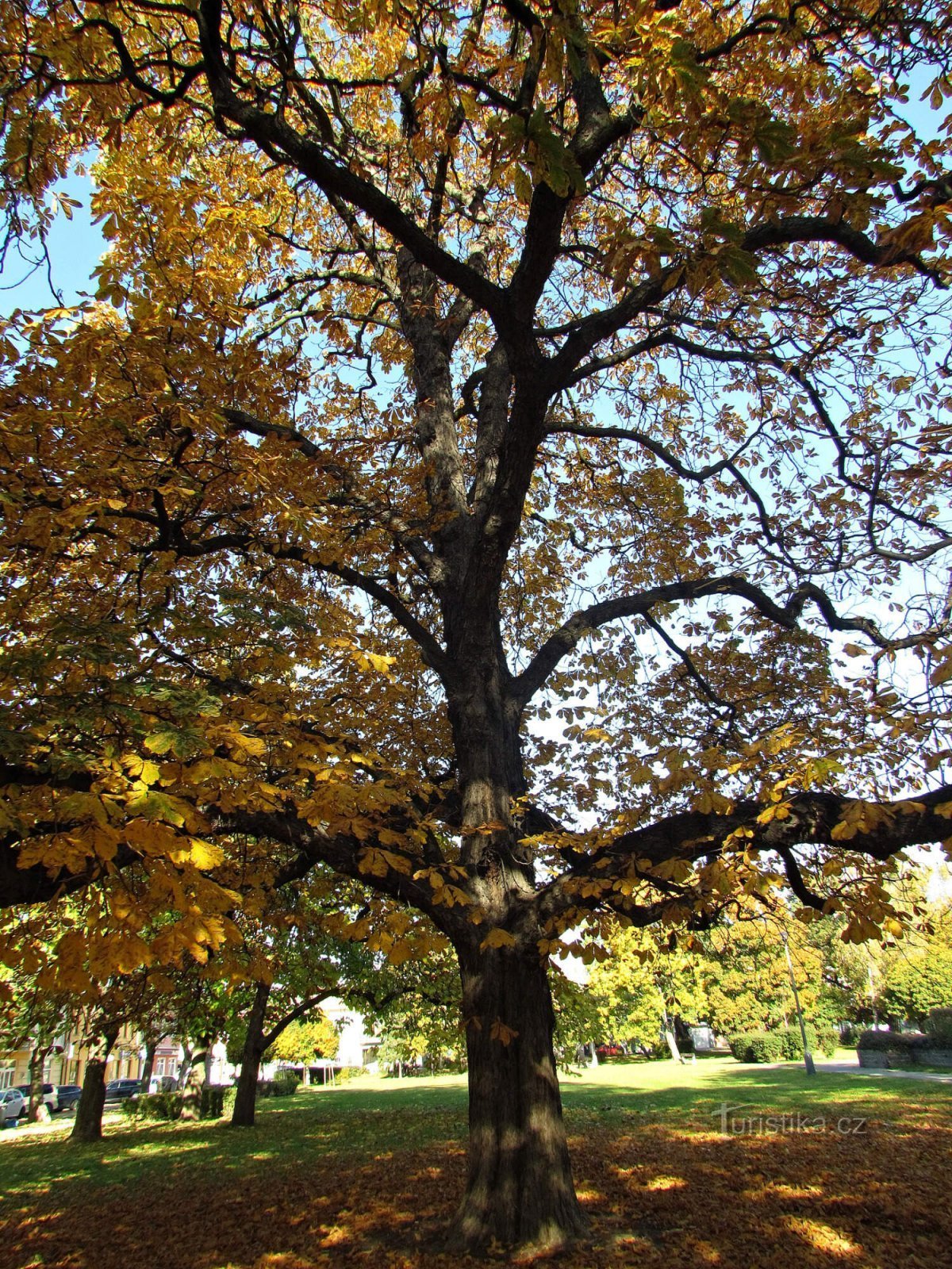 Přerov - Praça da Liberdade