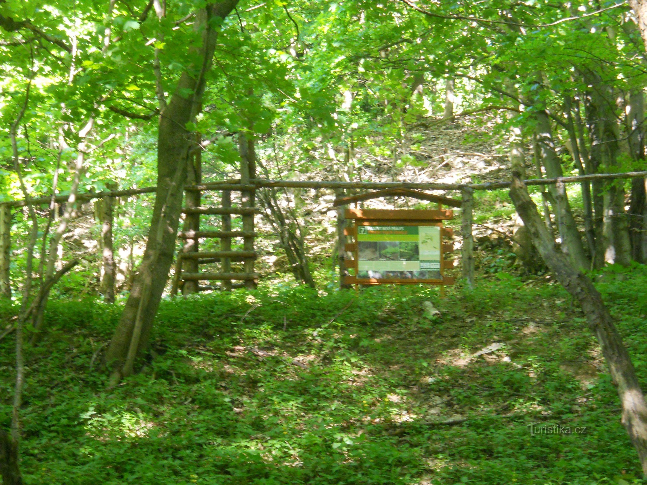 AU-DESSUS DES DEUX POINTS DE VUE ET DE LA NOUVELLE FORÊT