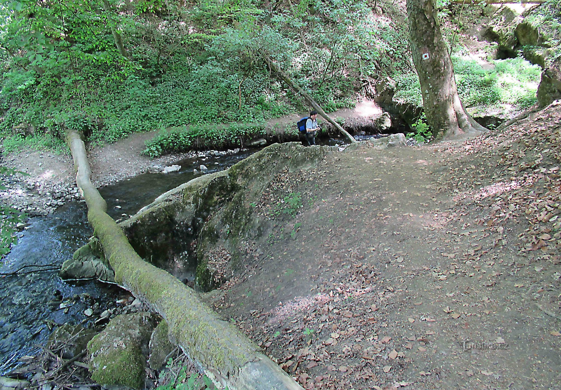 through the forest to Holstein Castle