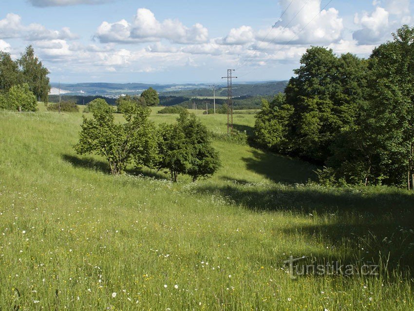 Across the meadows