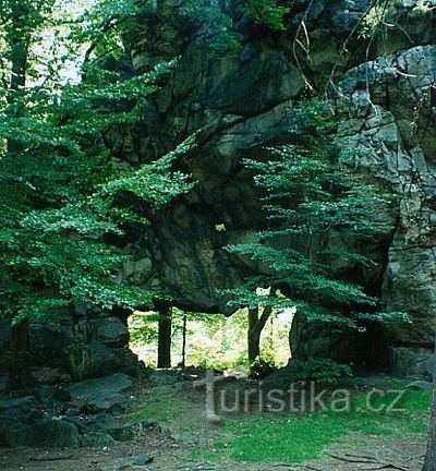 Através de Milštejn para Naděj