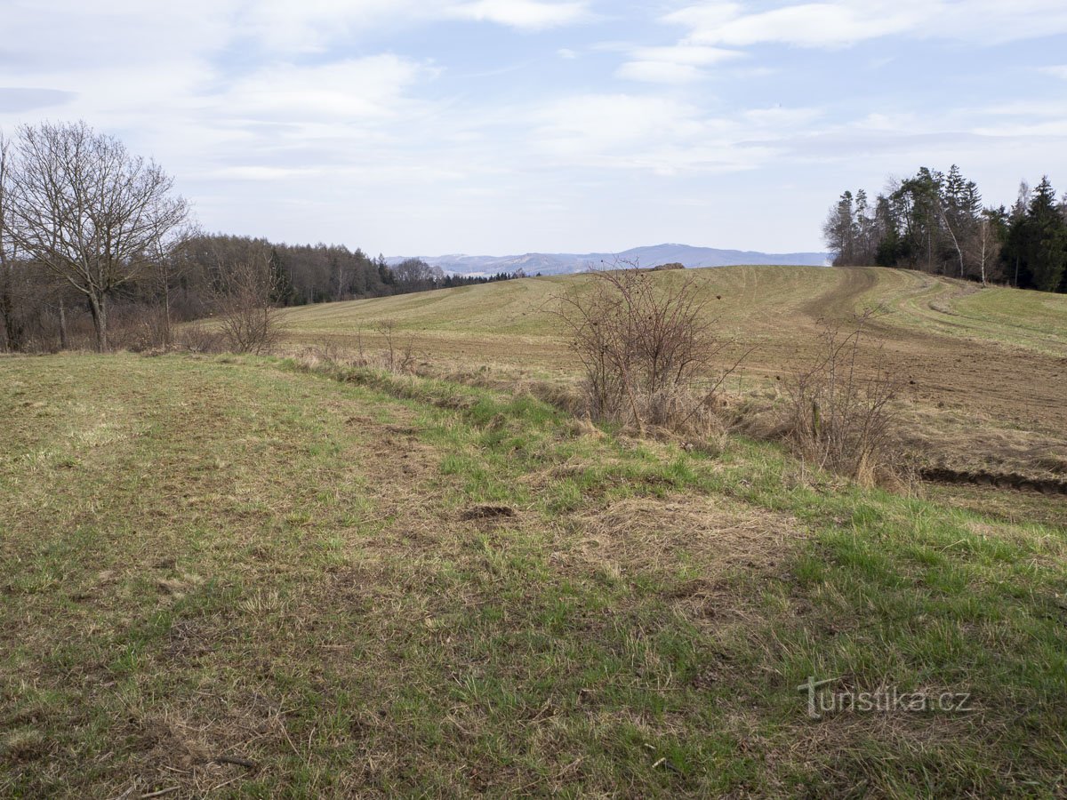 Across the field above Postřelmůvek