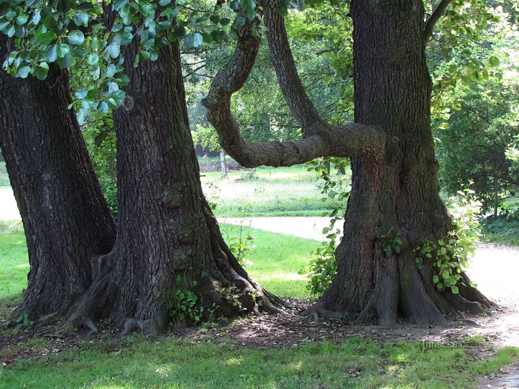 Genom slottsparken i Telč