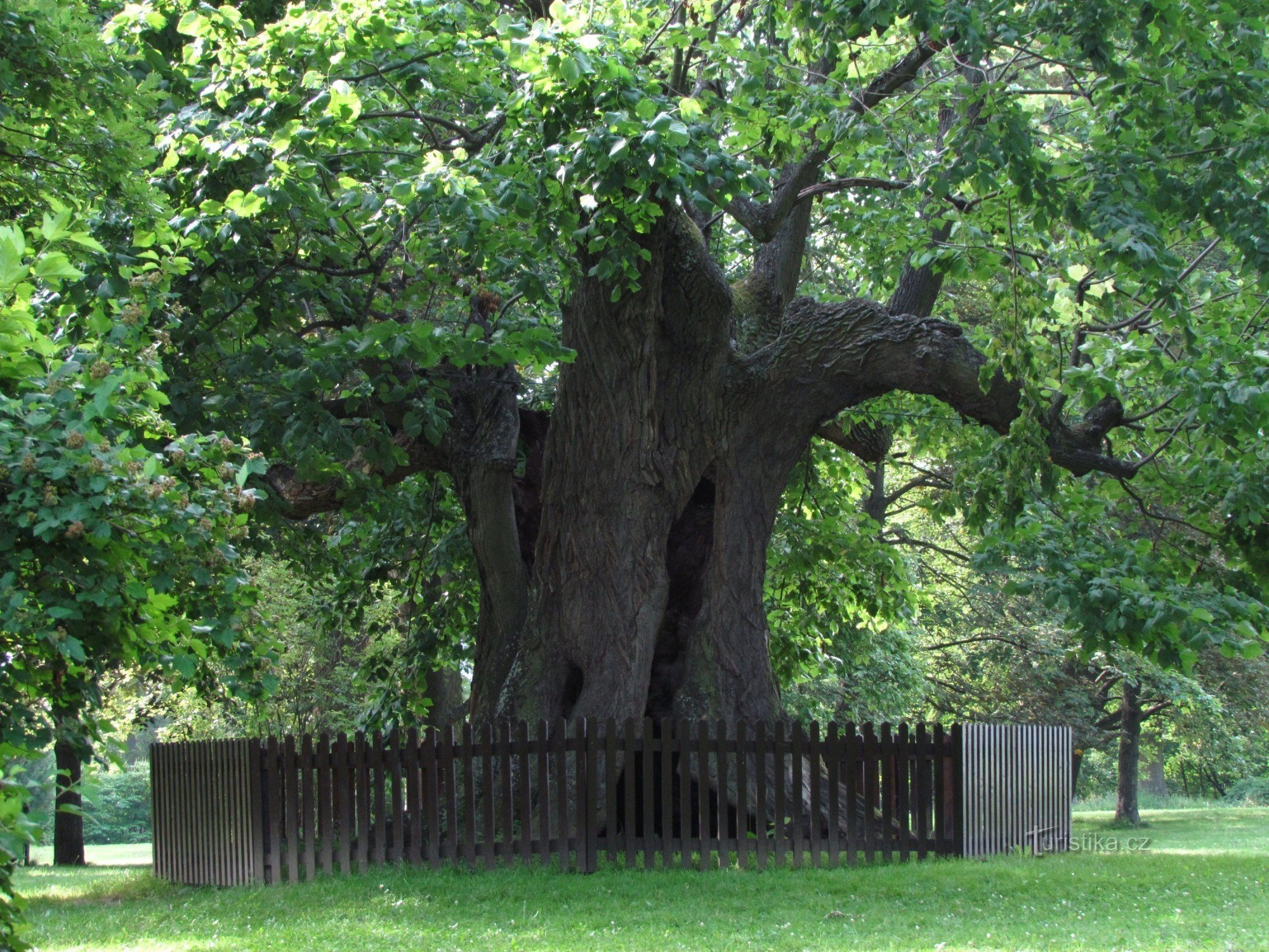 À travers le parc du château de Telč