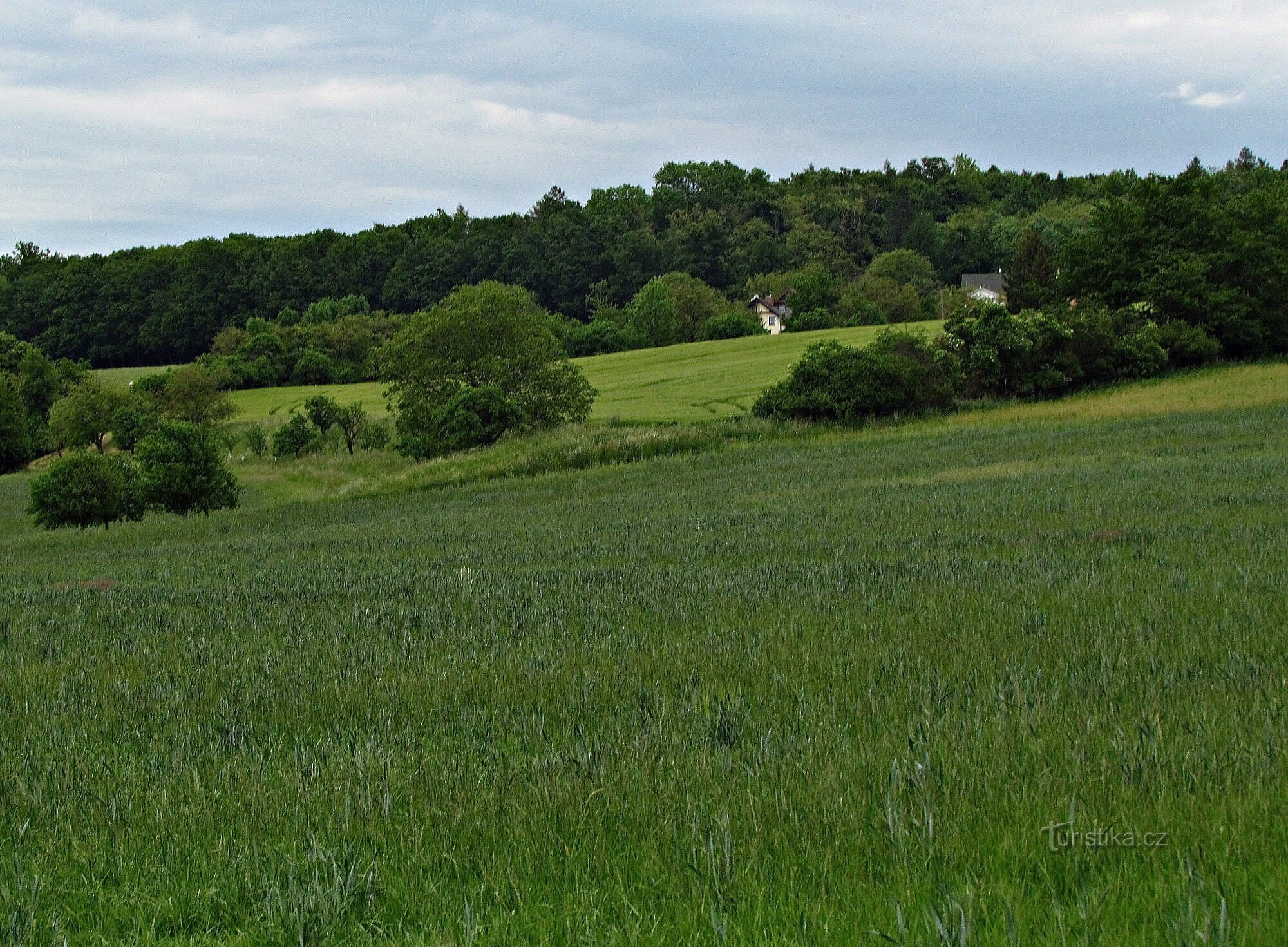 Prestavlcký skov