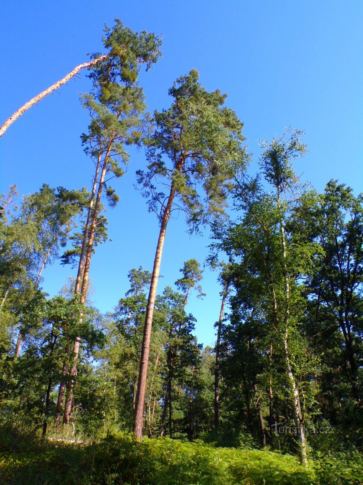 Deversoare lângă Rokytno (Rokytno, 3.8.2022 august XNUMX)