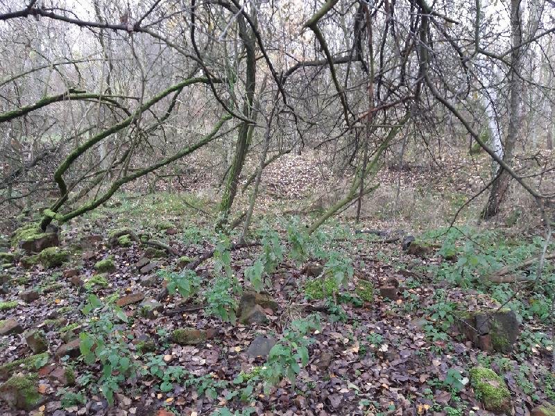 Převýchovný tábor č. 29