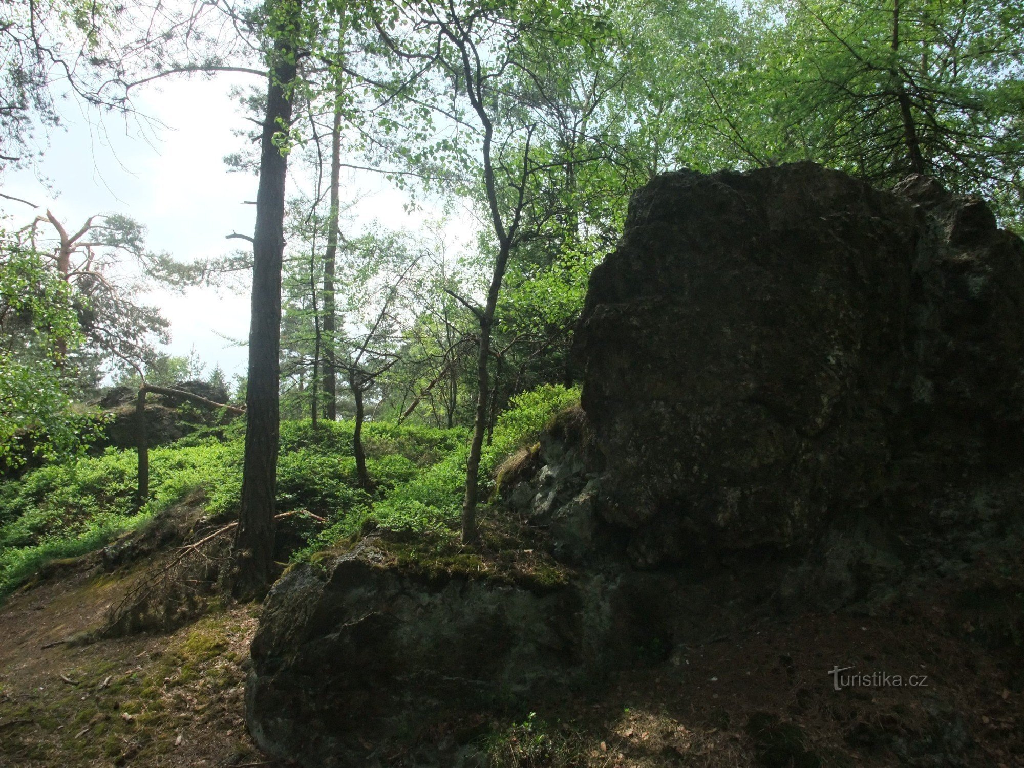 Sulla strada per la roccia