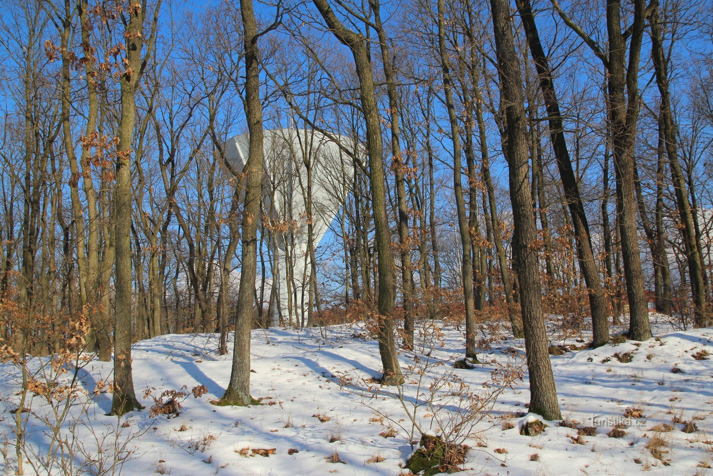 At the edge of the forest there is a peak elevation and a dominant reservoir