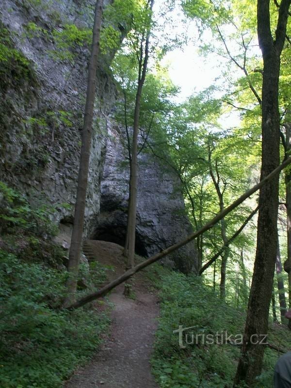 Llegada a la cueva