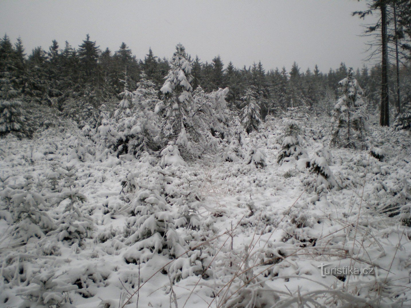 Die Ankunft des Winters in Malý Tok