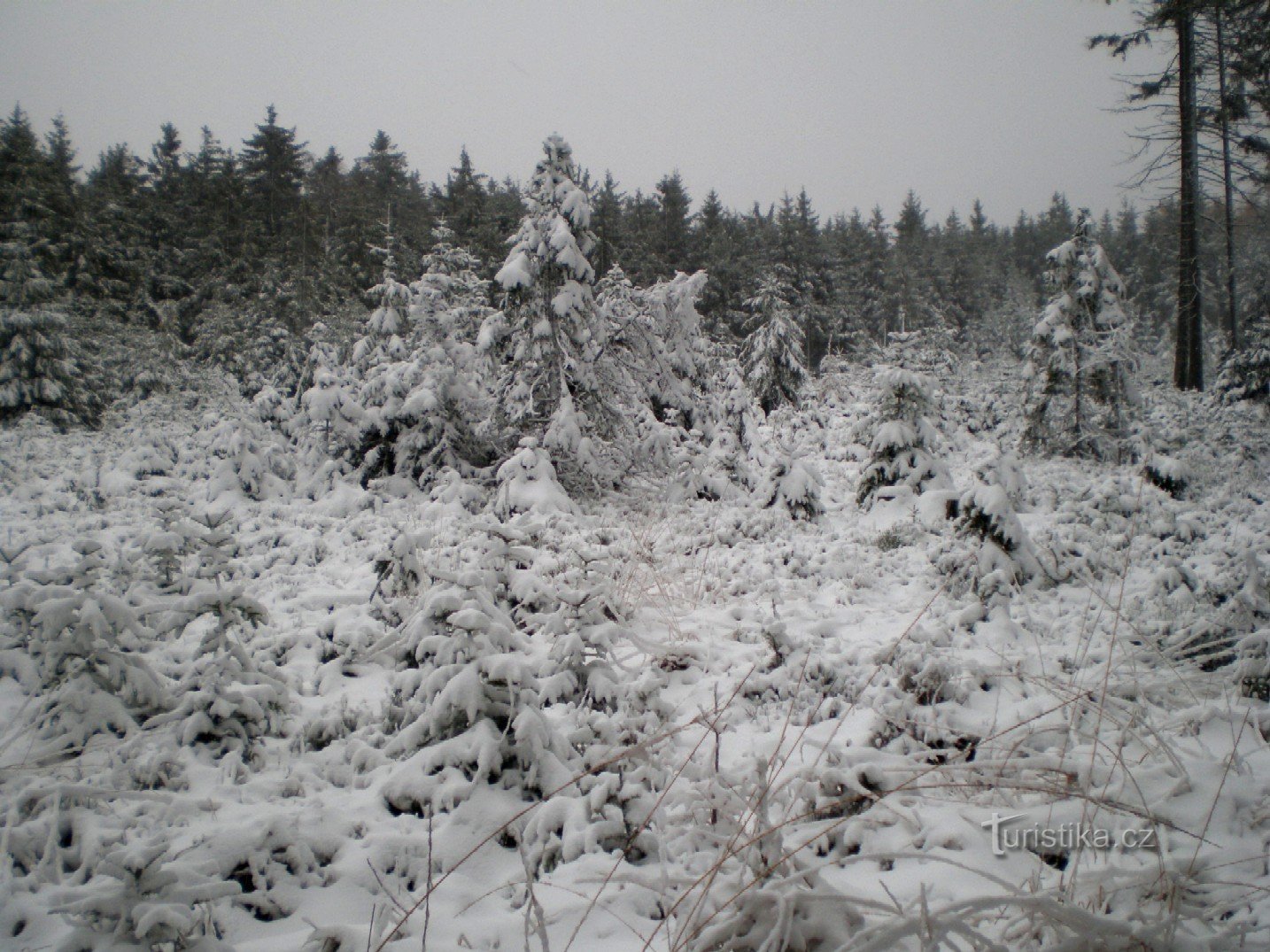 A chegada do inverno em Malý Tok