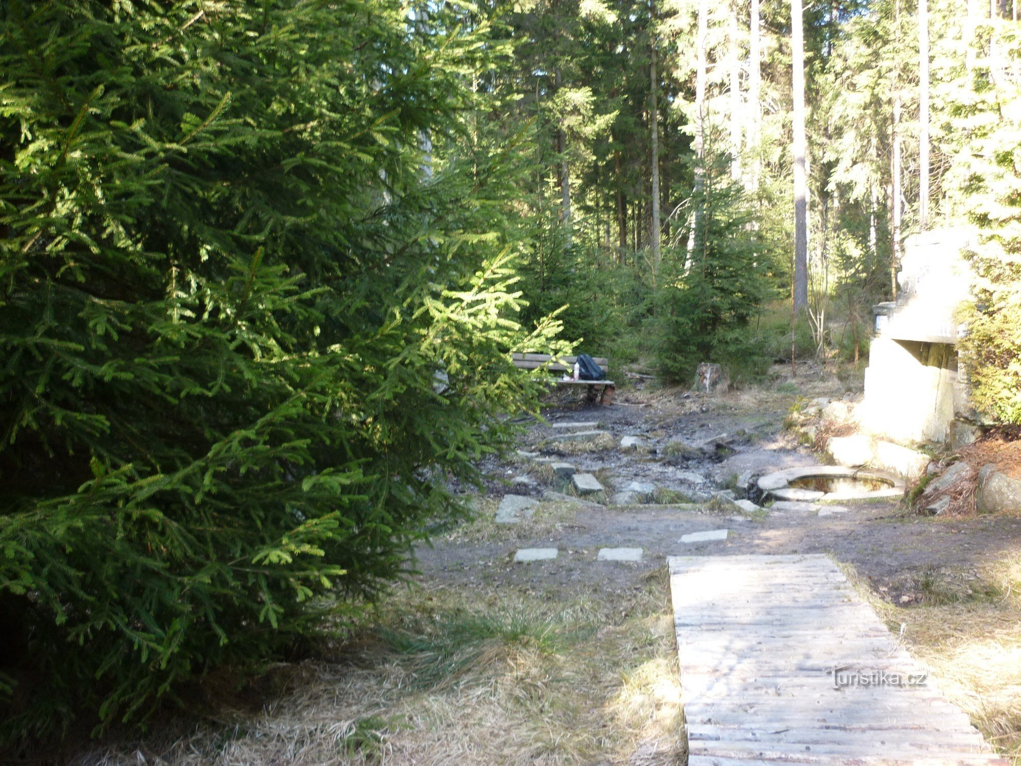 ankommende Straße aus Baumstämmen