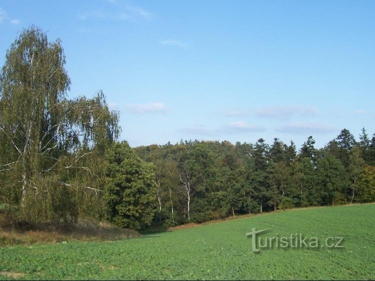 Keresztirányú: Kilátás a dombra és a környékre