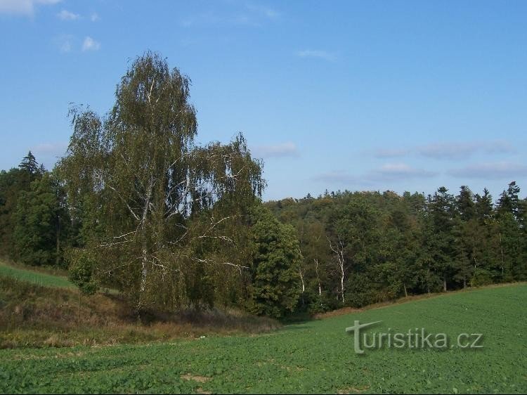 Keresztirányú: Kilátás a dombra és a környékre