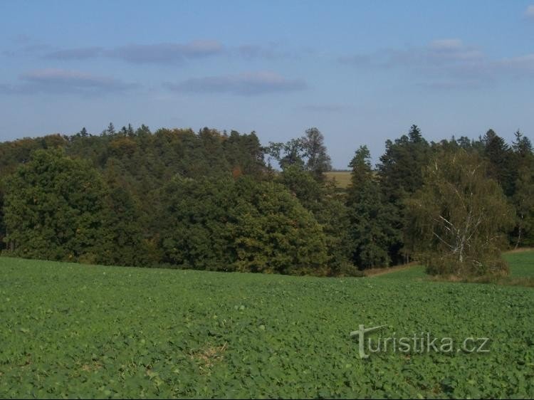 Keresztirányú: Kilátás a dombra és a környékre