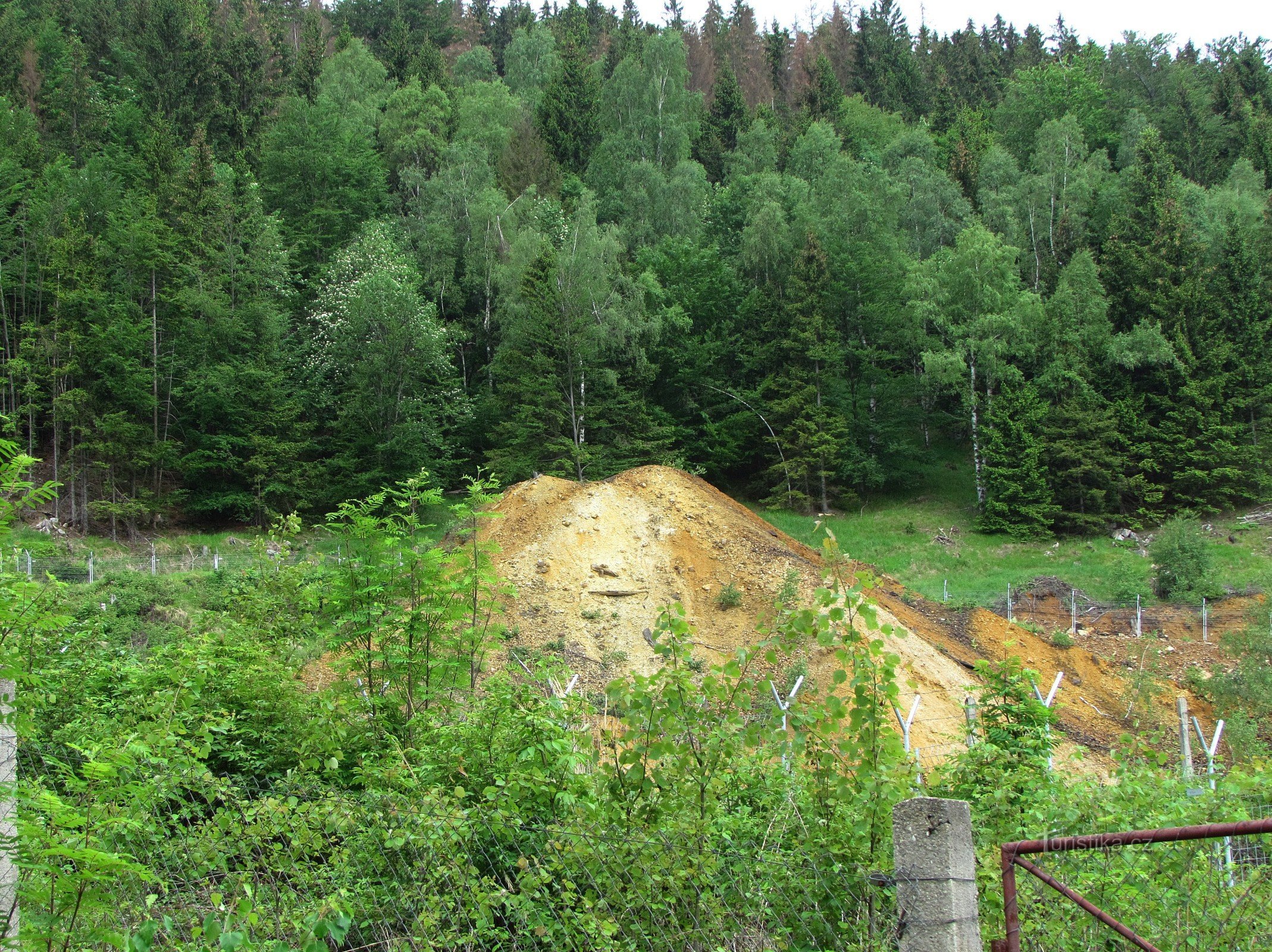 Tračný vrch - fenomen żebraka