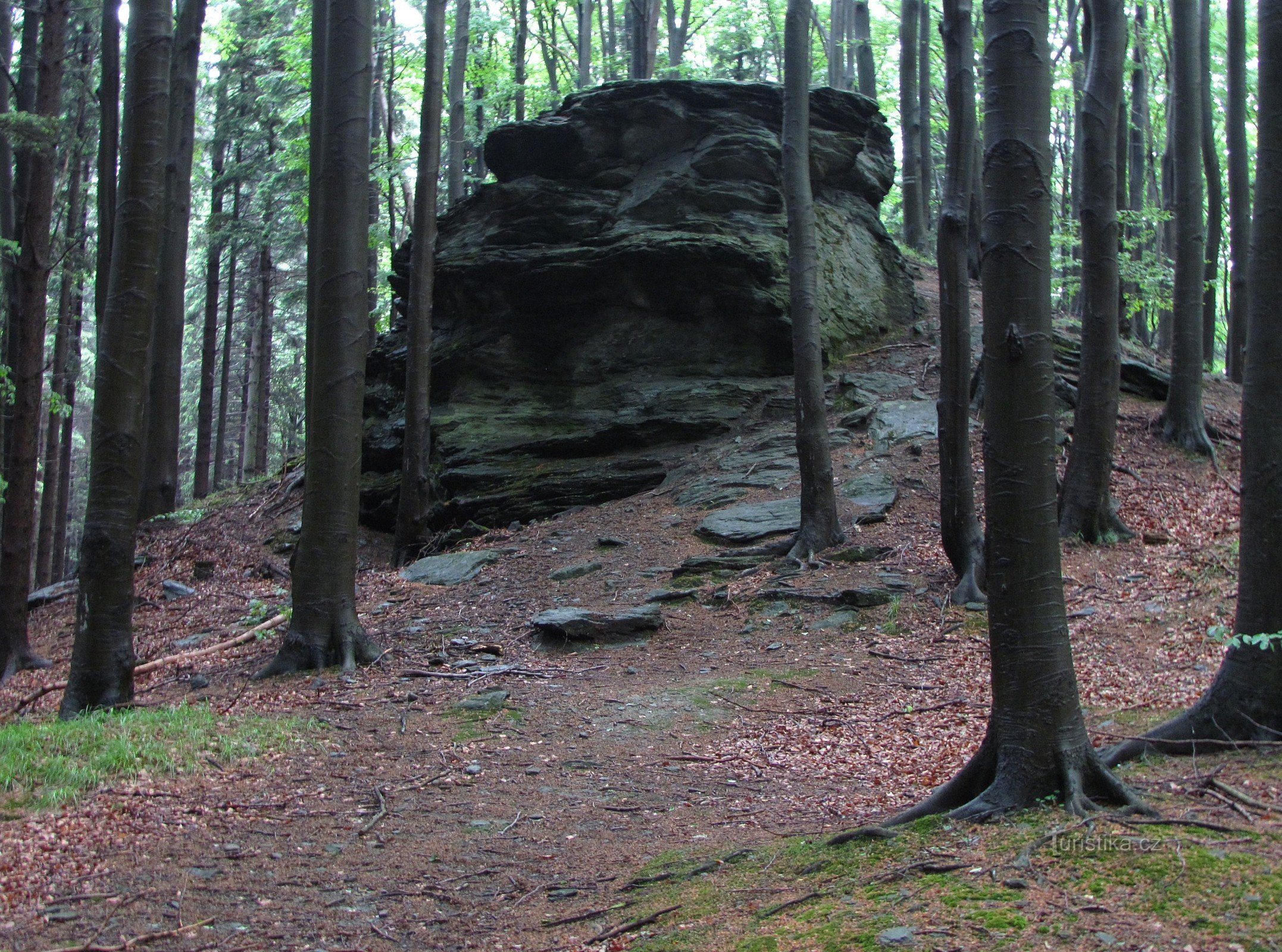 Transverse Hill - Tuot