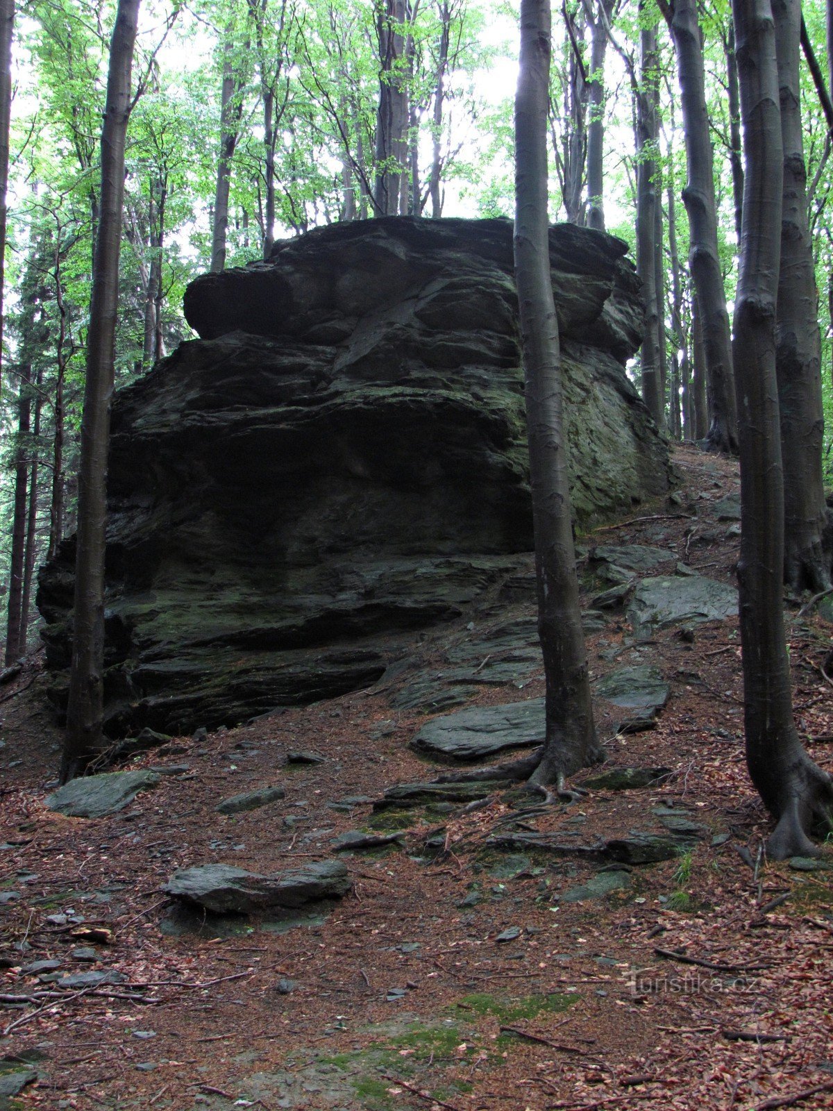 Transverse Hill - Tuot