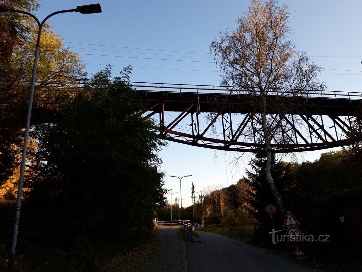 Trellis beauty in the town of Tábor