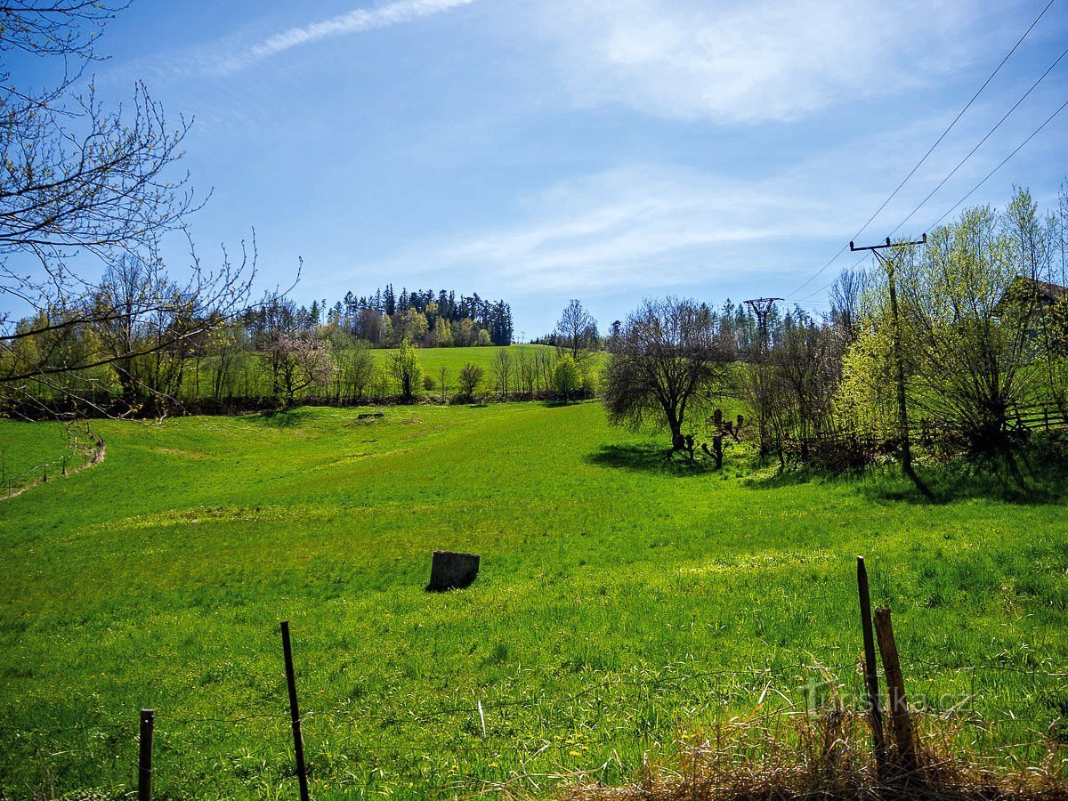Příjezd ke Zborovu od Klášterce