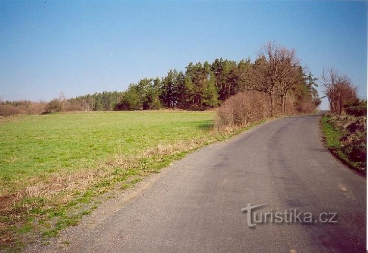 Příjezd od Tedražic.: Příjezd do Čejkov po cyklistické stezce kolem nezkoumaného