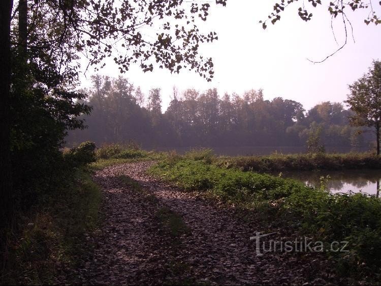 Ankomst längs vallen runt Malý Hěřmanické-dammen