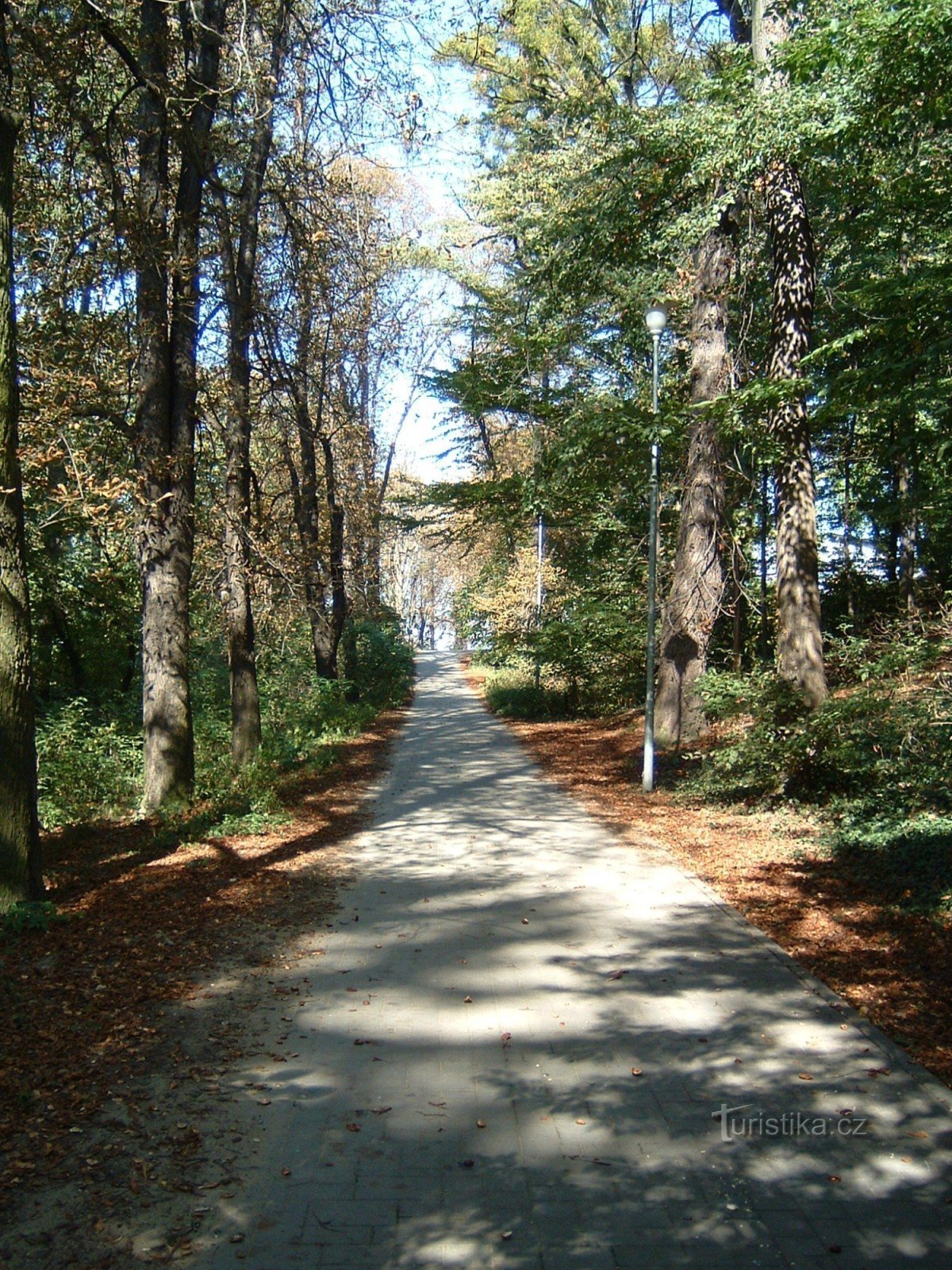 Route d'accès au château