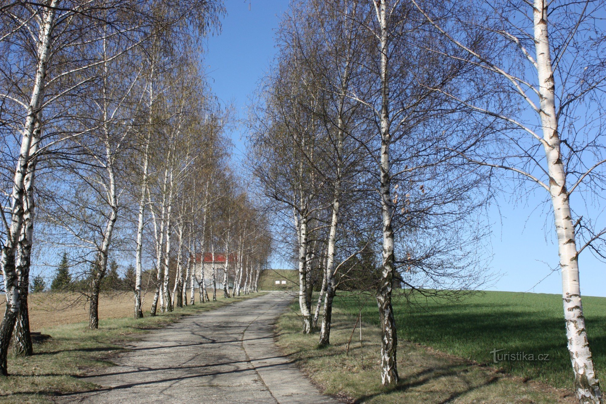 Access road to the waterworks