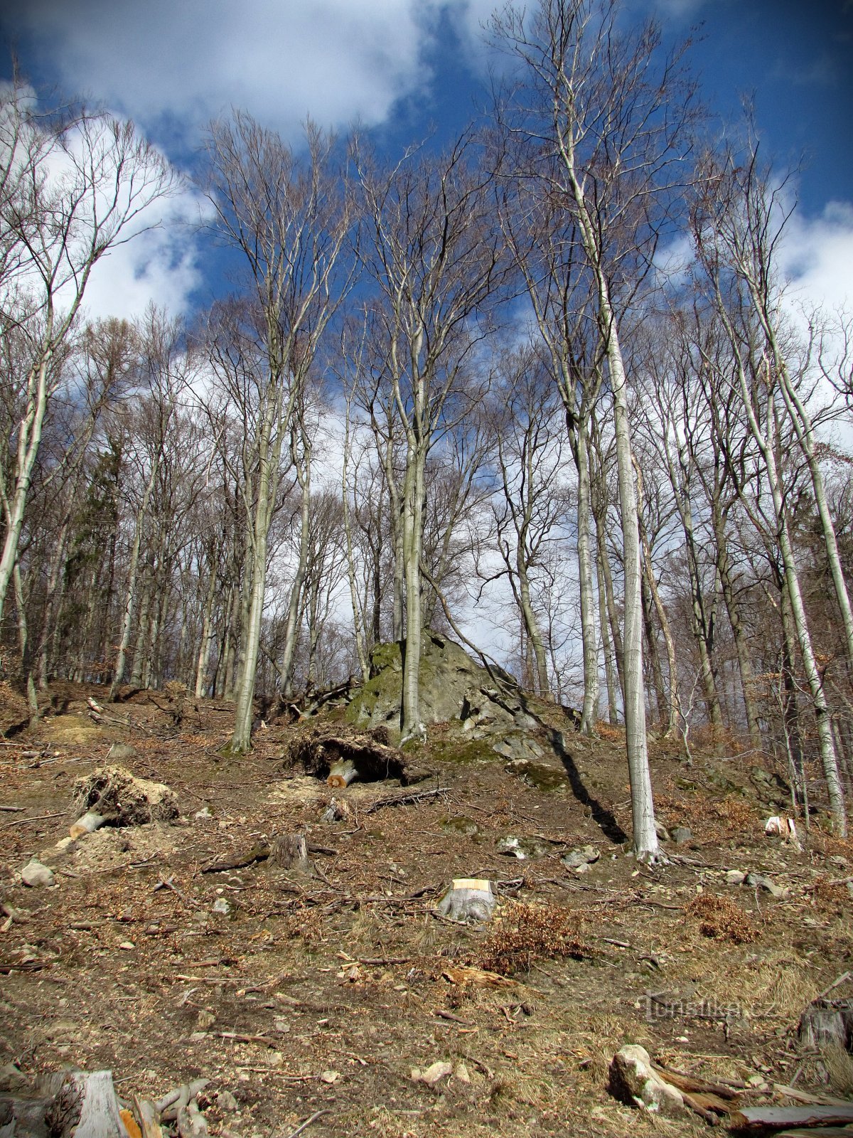 Přílepy - rotsachtig kasteel