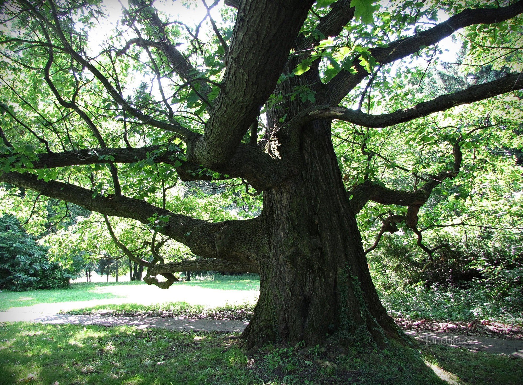 Přílepy - slotspark