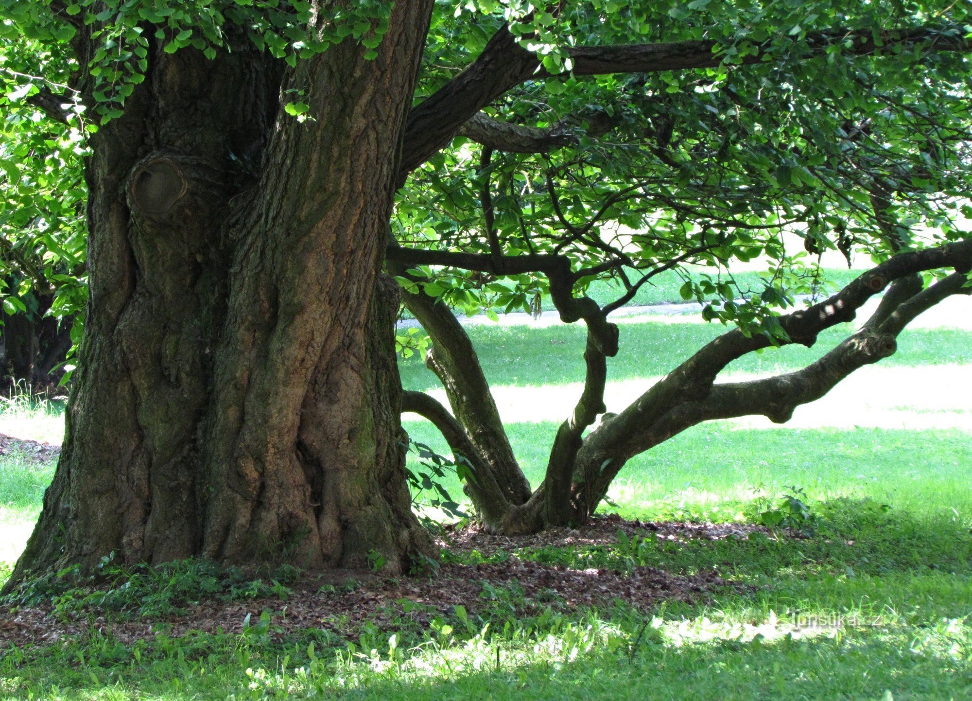 Přílepy - park dvorca