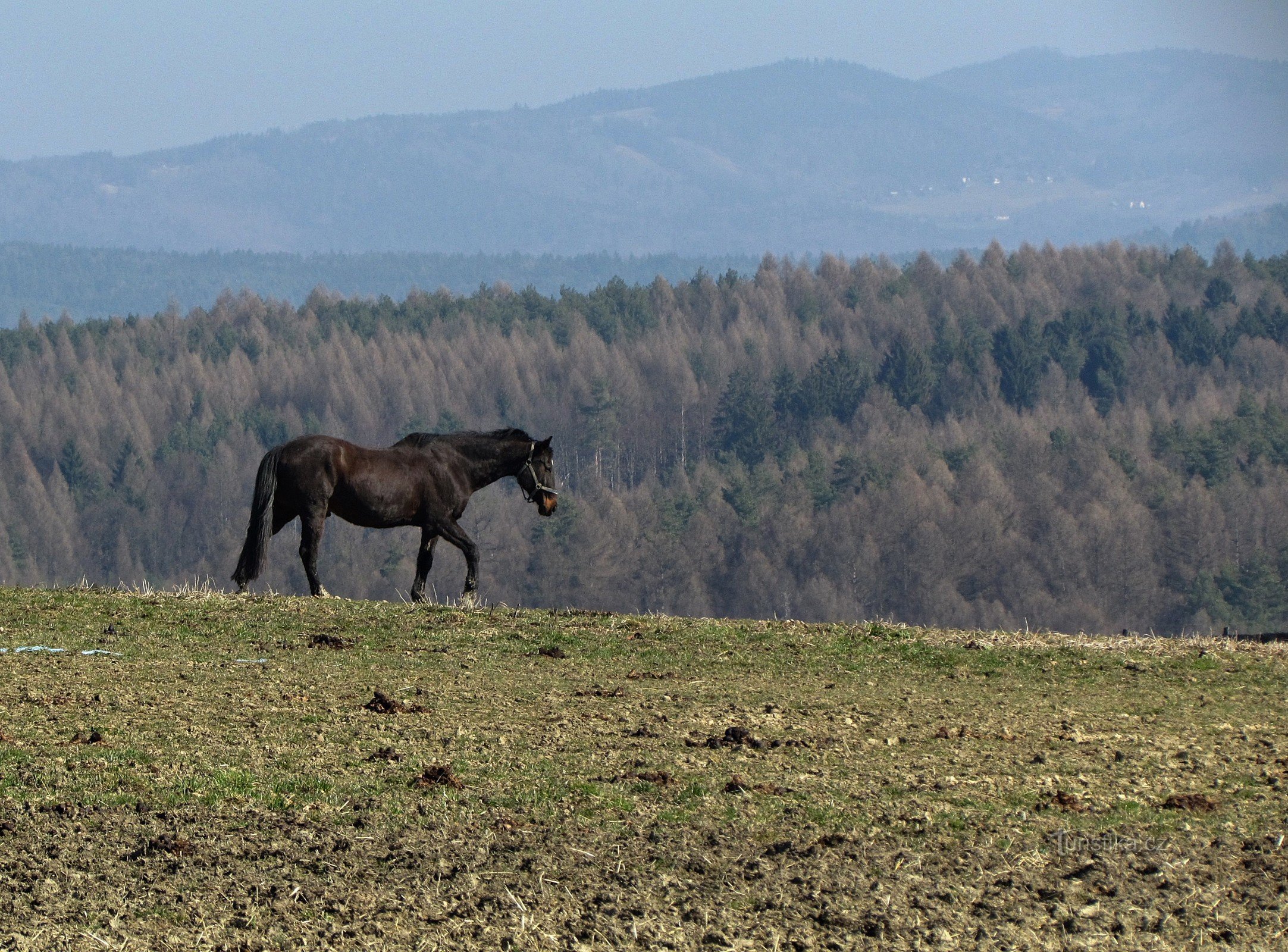 Přílúka viewpoint