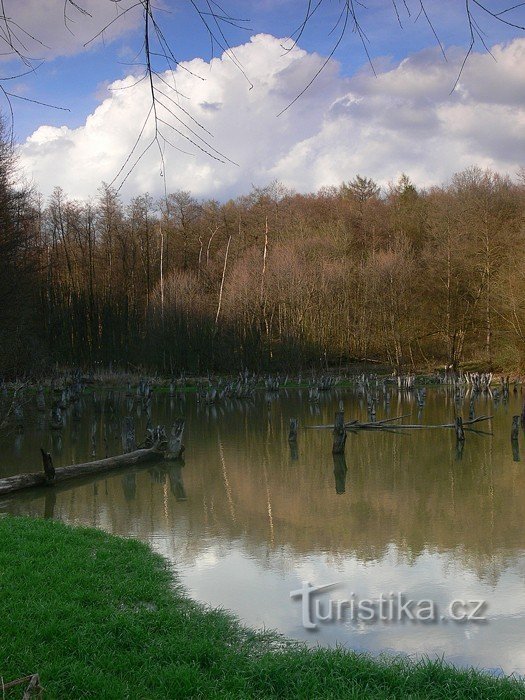 Přílucký dam