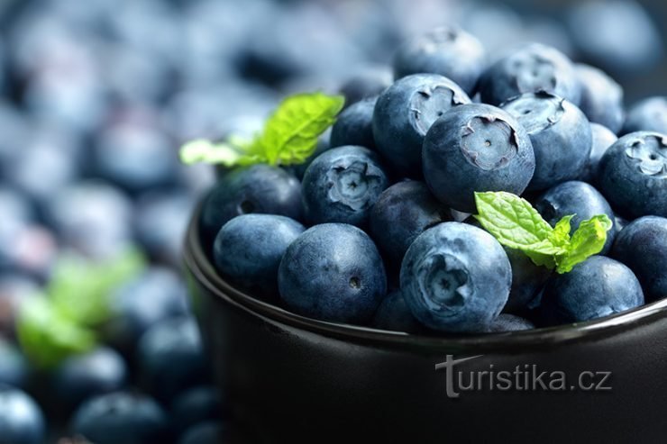 Herinner jezelf aan de smaken van de natuur