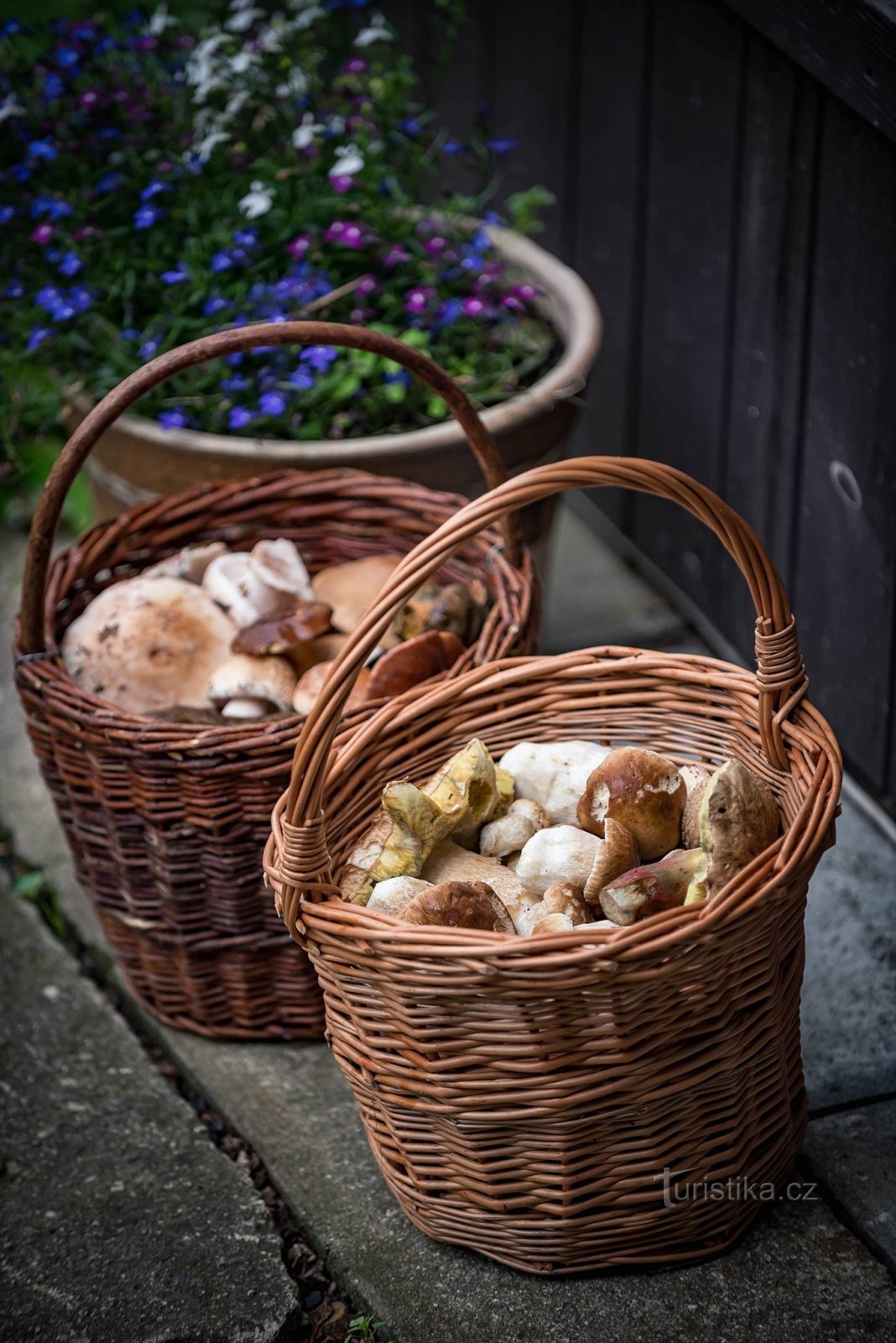 Påminn dig själv om naturens smaker