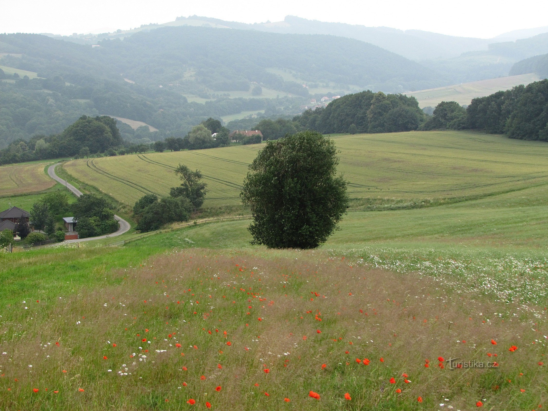 Natura e paesaggio sopra Želechovice