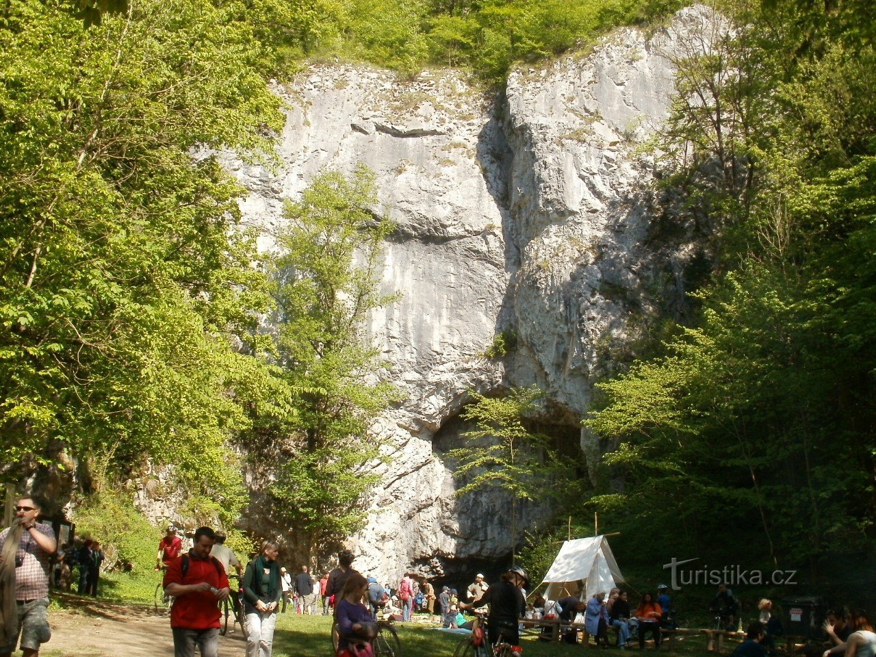 Природа навколо Бичачої скелі
