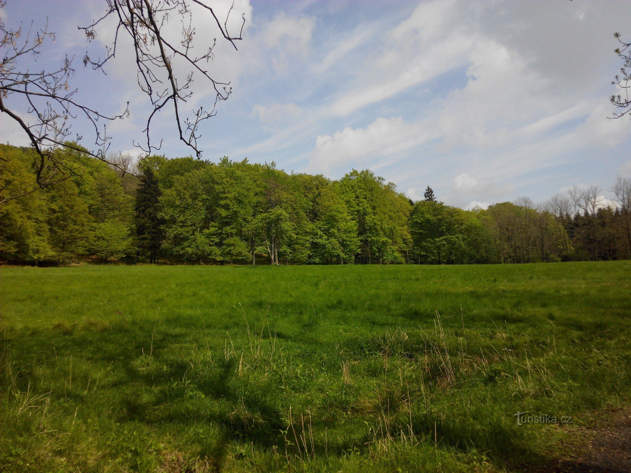 de natuur van het Lausitzer gebergte