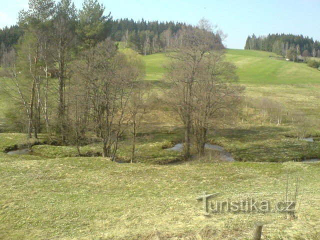 nature in the surroundings of Liboca (Libocký potok)