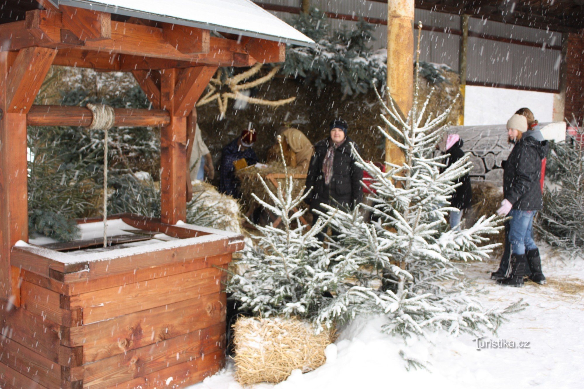 A natural nativity scene in the premises of the Secondary School of Agriculture in Přerov