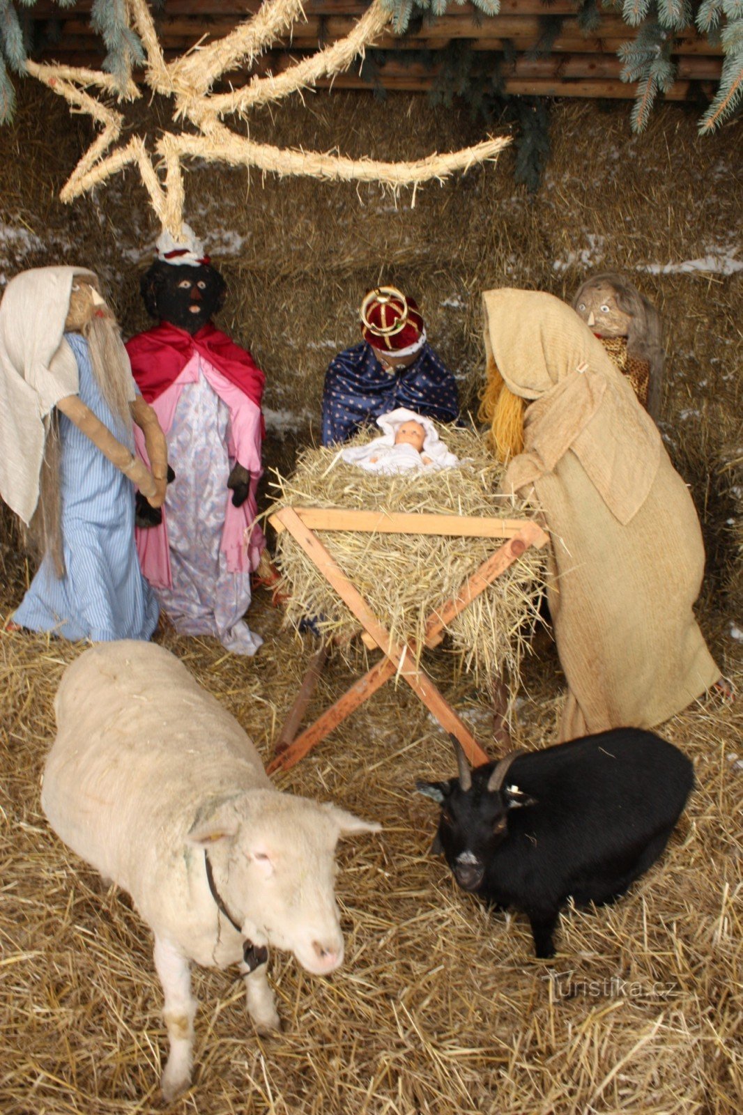 Přírodní betlém v areálu Střední školy zemědělské v Přerově